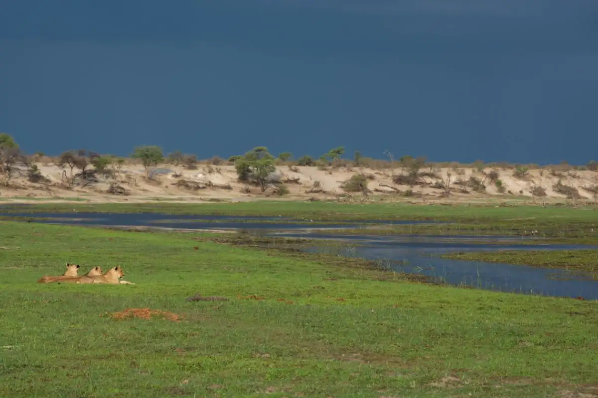 4-Day Makgadikgadi Trails